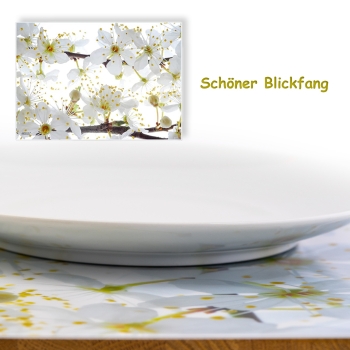 Tischset Platzset abwaschbar Blütenweiss von ARTIPICS Kunststoff 30x42 cm